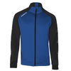 ROYAL BLUE/BLACK
